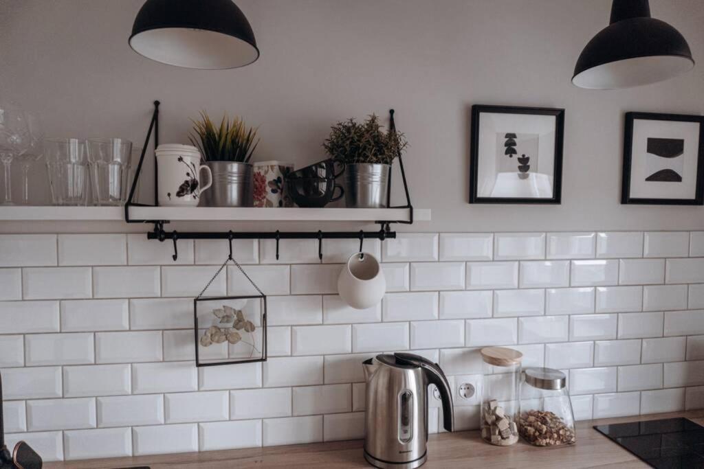 Teatra Street Apartment Balvi Eksteriør billede